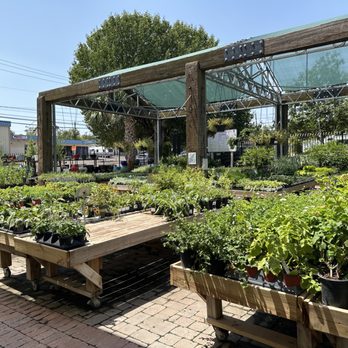 Shoal Creek Nursery - Nurseries & Gardening Near Me - Austin, Texas Shoal Creek Nursery - Nurseries & Gardening Near Me - Austin, Texas