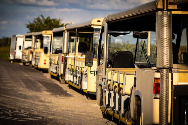 Shark Valley Tram Tours by null