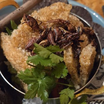La Meche - Guacamole with Chapulines - Northern Mexican Near Me - Mexicali, BCN La Meche - Guacamole with Chapulines - Northern Mexican Near Me - Mexicali, BCN