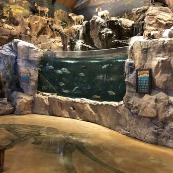 Bass Pro Shops - Outdoor Gear Near Me - Colorado Springs, Colorado Bass Pro Shops - Outdoor Gear Near Me - Colorado Springs, Colorado