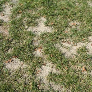 Land View Landscape - Land view care - Landscaping Near Me - Las Vegas, Nevada Land View Landscape - Land view care - Landscaping Near Me - Las Vegas, Nevada