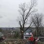 RG Tree Service