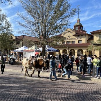 The Stockyards - Local Flavor Near Me - Fort Worth, Texas The Stockyards - Local Flavor Near Me - Fort Worth, Texas