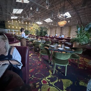 Le Coq - Indoors / ambient - French Near Me - La Jolla, California