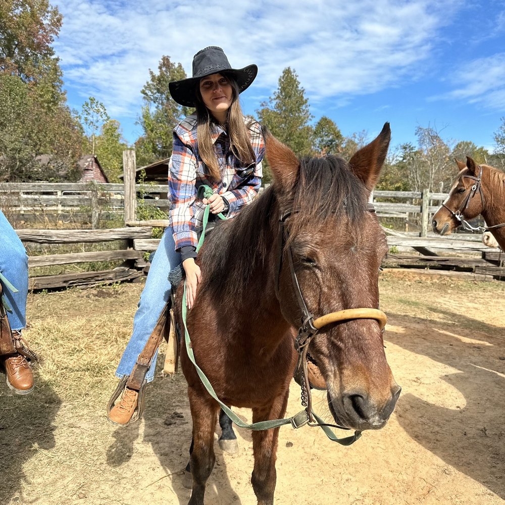 JMG Ranch - Horseback Riding Near Me - Travelers Rest, South Carolina JMG Ranch - Horseback Riding Near Me - Travelers Rest, South Carolina