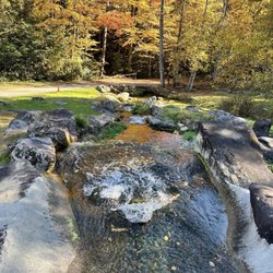 Cooper Creek Trout Farm