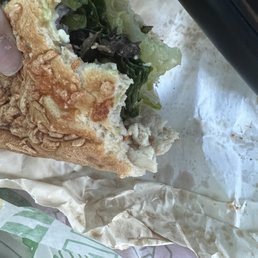 Took 2 bites of my sandwich and realized there's a hair on the wrap Took 2 bites of my sandwich and realized there's a hair on the wrap