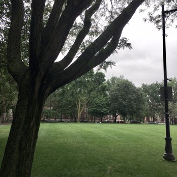 John F Kennedy Park - Parks Near Me - Cambridge, Massachusetts