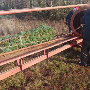 Maldonado Farms - Baling in Oregon on our farm. - Christmas Trees Near Me - Carlsbad, California Maldonado Farms - Baling in Oregon on our farm. - Christmas Trees Near Me - Carlsbad, California