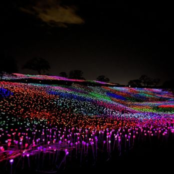 Sensorio - Field of Lights - Art Galleries Near Me - Paso Robles, California Sensorio - Field of Lights - Art Galleries Near Me - Paso Robles, California