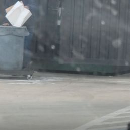 Taking trash while cleaning tables and in there back area.