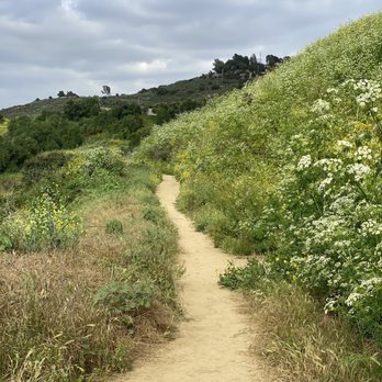 Nike Hill - Nike hill trail - Hiking Near Me