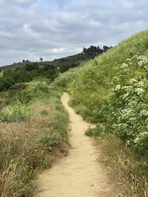 nike hill trail