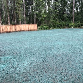 Grass Master Hydroseeding - Back yard just hydroseeded by Don & Hugo - Landscaping Near Me - Woodinville, Washington Grass Master Hydroseeding - Back yard just hydroseeded by Don & Hugo - Landscaping Near Me - Woodinville, Washington