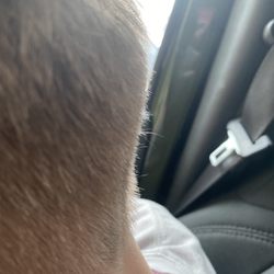 The Gentlemens Barber - Has tiny hairs that weren't even cut