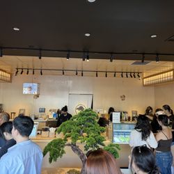 Inside 4/19/26