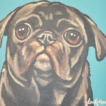 The Parched Pug - Gastropubs Near Me - Libertyville, Illinois The Parched Pug - Gastropubs Near Me - Libertyville, Illinois