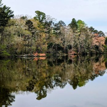 Beaver Lake Bird Sanctuary - Parks Near Me - Asheville, North Carolina Beaver Lake Bird Sanctuary - Parks Near Me - Asheville, North Carolina