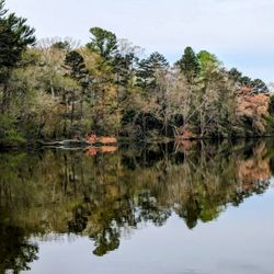 Beaver Lake Bird Sanctuary