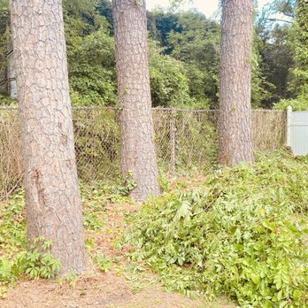 Simple Timber Solutions - completed clearing of brush - Tree Services Near Me Simple Timber Solutions - completed clearing of brush - Tree Services Near Me