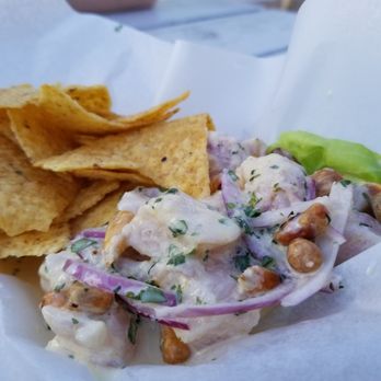 What The Fish Rolls - Ceviche - Seafood Near Me - Tavernier, Florida What The Fish Rolls - Ceviche - Seafood Near Me - Tavernier, Florida