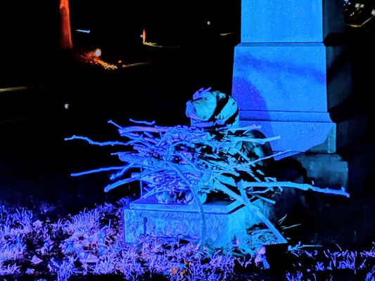 The Green-Wood Cemetery by null