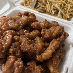 Hot Spicy Chicken Combo Plate