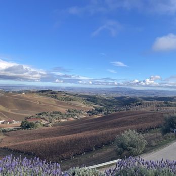 DAOU Vineyards - vineyard - Wineries Near Me - Paso Robles, California
