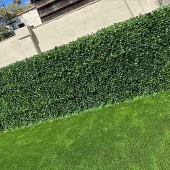 Waterless Turf - Gardenia artificial vine covering stucco wall to accent new turf!! - Landscaping Near Me - Marina Del Rey, California Waterless Turf - Gardenia artificial vine covering stucco wall to accent new turf!! - Landscaping Near Me - Marina Del Rey, California