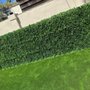 Photo of Waterless Turf