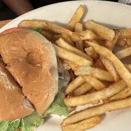 Turkey Burger Turkey Burger