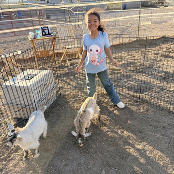 Petting Zoo 2 U - Baby goats - Petting Zoos Near Me Petting Zoo 2 U - Baby goats - Petting Zoos Near Me