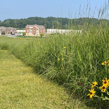 Prairie Ridge Conservation Park - Grass needs mowing... - Parks Near Me - Madison, Wisconsin