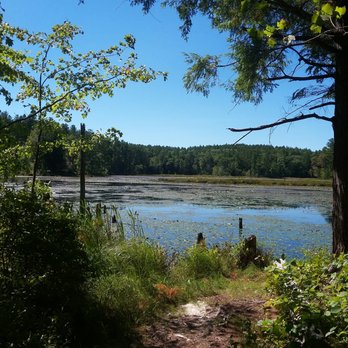 Hirst Brockway Marsh - Wildlife Hunting Ranges Near Me Hirst Brockway Marsh - Wildlife Hunting Ranges Near Me