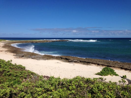 Turtle Bay Resort Turtle Kayaking Cove by null