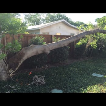 S&P Tree Service - Removal of large hackberry tree with included bark. - Tree Services Near Me - Grand Prairie, Texas S&P Tree Service - Removal of large hackberry tree with included bark. - Tree Services Near Me - Grand Prairie, Texas