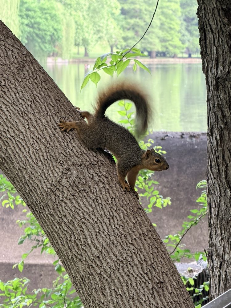 Lakeside Park Image