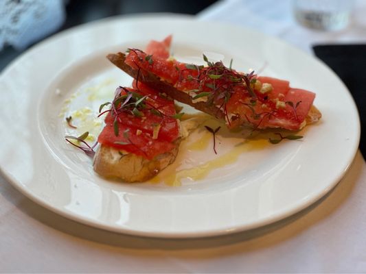 Bella Colibri by null