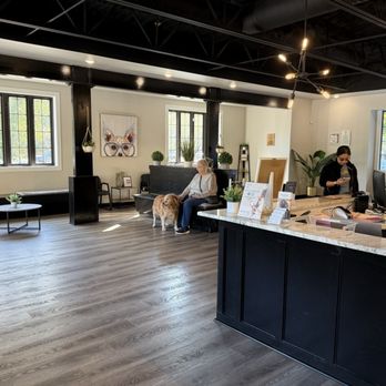 Animal Eye Care - Veterinarians Near Me - Virginia Beach, Virginia Animal Eye Care - Veterinarians Near Me - Virginia Beach, Virginia