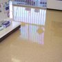 Photo of LifeStyle Cleaning & Restoration