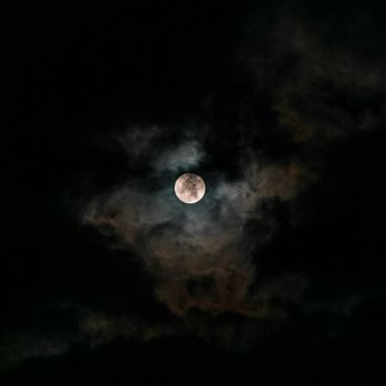 Haley Farm State Park - A full moon, a hunted night, who's there! - Parks Near Me - Groton, Connecticut