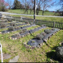 The Lavender Cottage & Garden