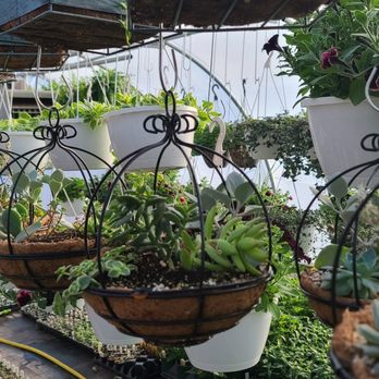 C & K Greenhouse - New for 2022 - Home & Garden Near Me - Fremont, Indiana C & K Greenhouse - New for 2022 - Home & Garden Near Me - Fremont, Indiana