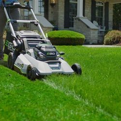 Electric Cuts Lawn Service