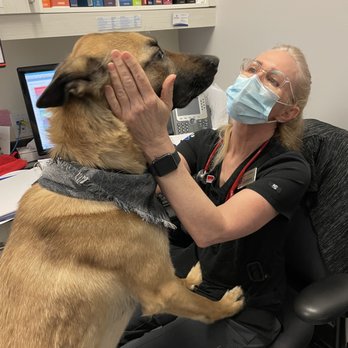 Healthy Paws Forward Veterinary Hospital - Veterinarians Near Me - Calgary, Alberta Healthy Paws Forward Veterinary Hospital - Veterinarians Near Me - Calgary, Alberta