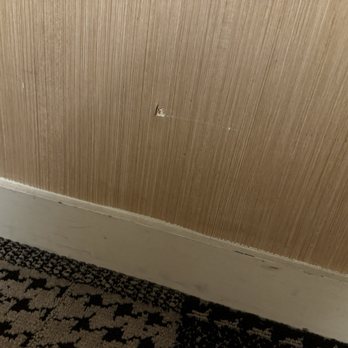 Hotel Lincoln - Holes in random places - Hotels Near Me - Chicago, Illinois Hotel Lincoln - Holes in random places - Hotels Near Me - Chicago, Illinois