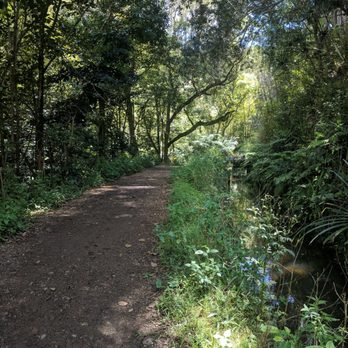 Twin Falls Trail - Hiking Near Me - Haiku, Hawaii