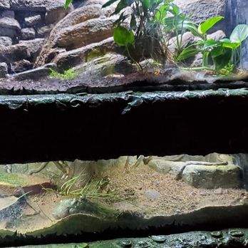 ABQ BioPark Zoo - Zoos Near Me - Albuquerque, New Mexico