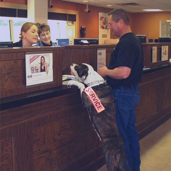 Kentuckiana K-9 - Pet Training Near Me - Louisville, Kentucky Kentuckiana K-9 - Pet Training Near Me - Louisville, Kentucky
