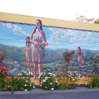 Morgan Mural Studios - Native landscape mural - Napa, California - Painters Near Me - Los Altos, California